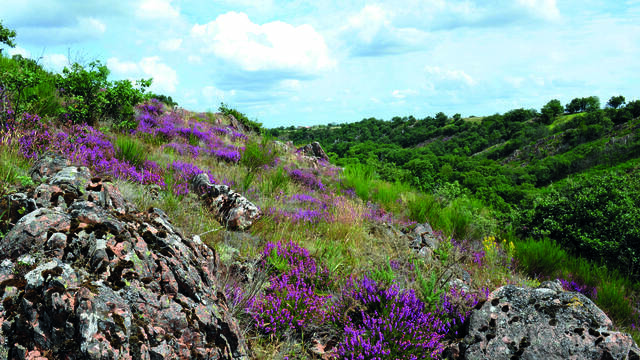 Vallée de l'Argenton