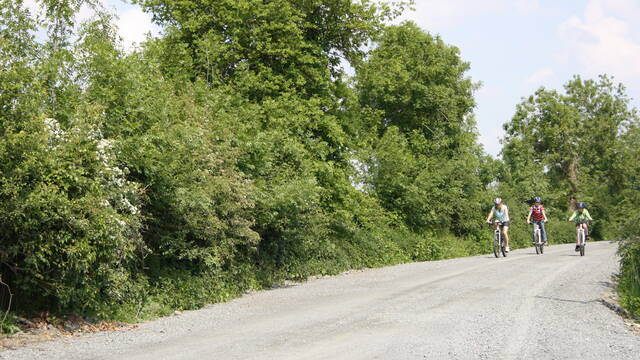 Les vélos routes