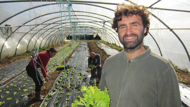 Producteurs et vente directe