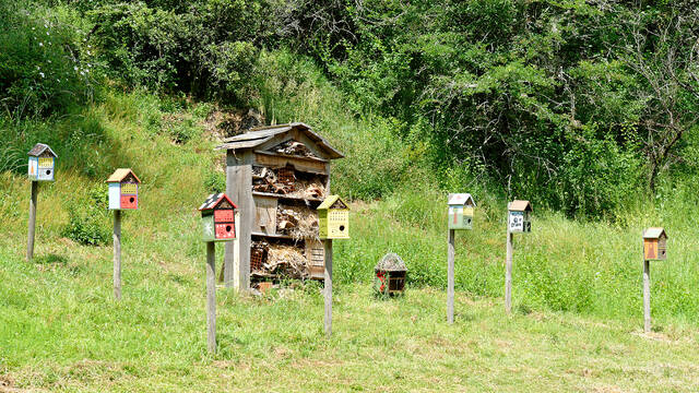 Sites naturels et espaces naturels sensibles en Bocage Bressuirais