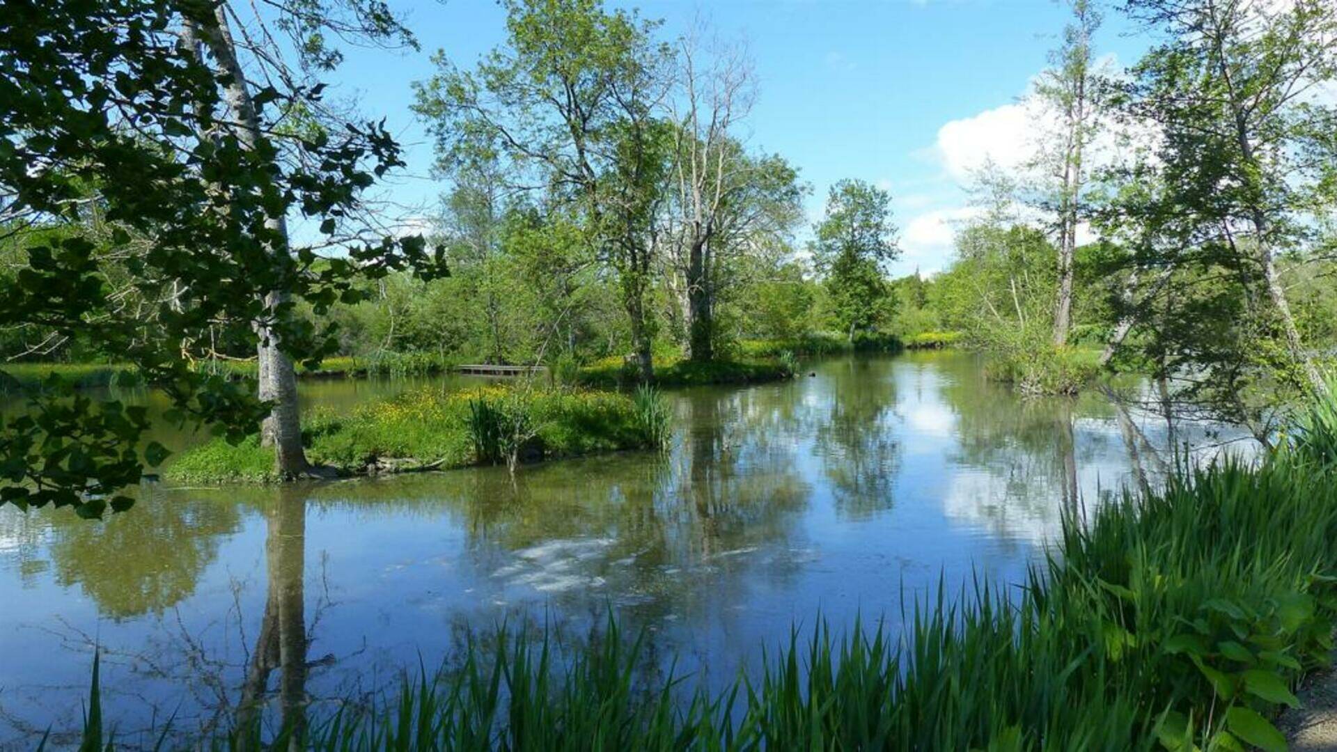 Domaine des Sablières, près de Pescalis, entre Puy du Fou et Marais Poitevin