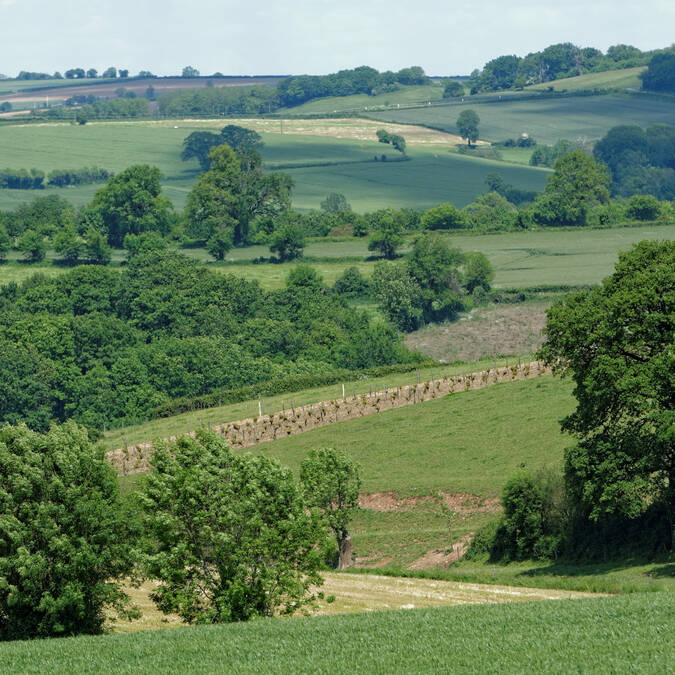 Vol en montgolfière en Bocage Bressuirais PWall/CD79